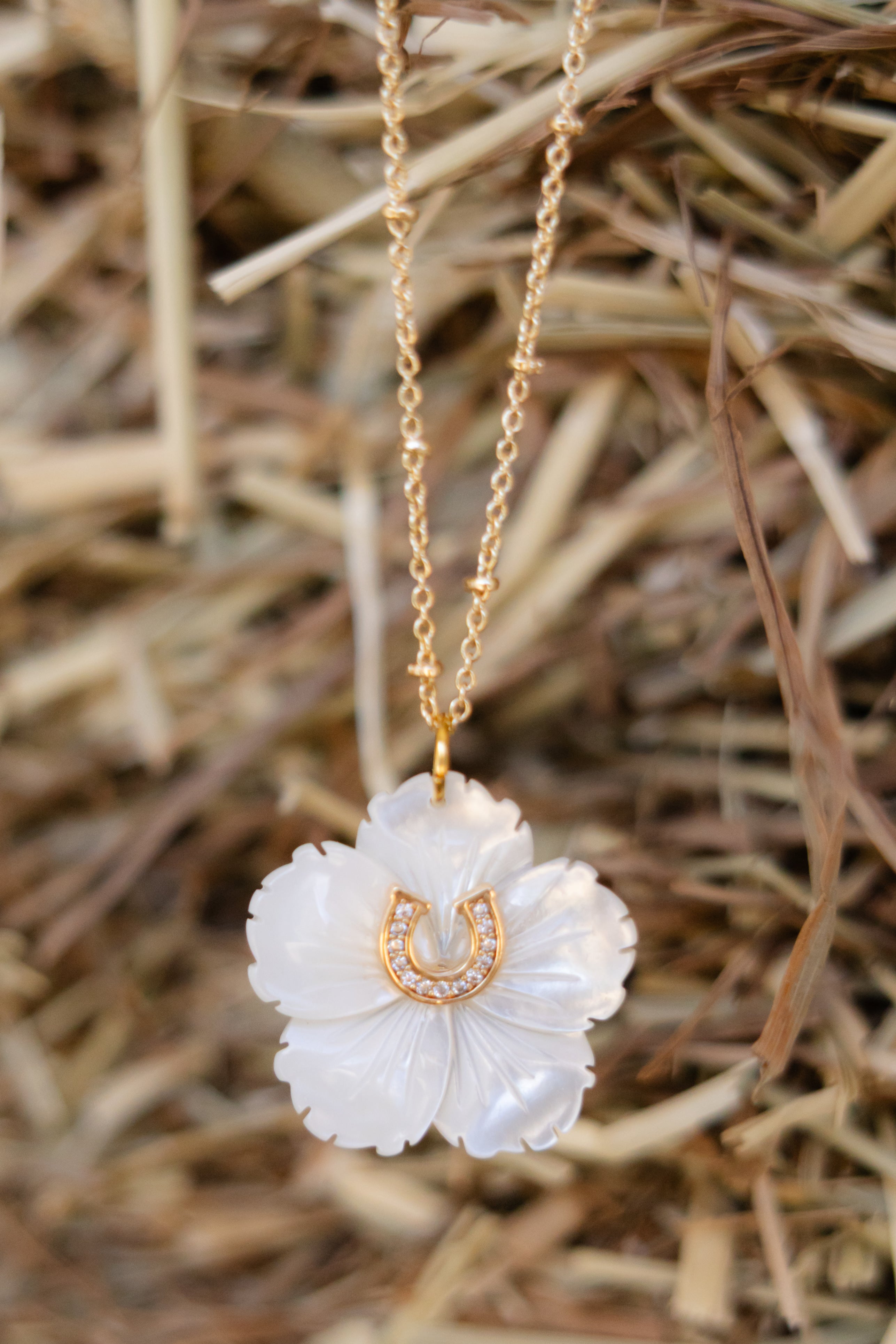 Chastain Horse Park x SJ Bailey Co. Lucky Horseshoe Necklace